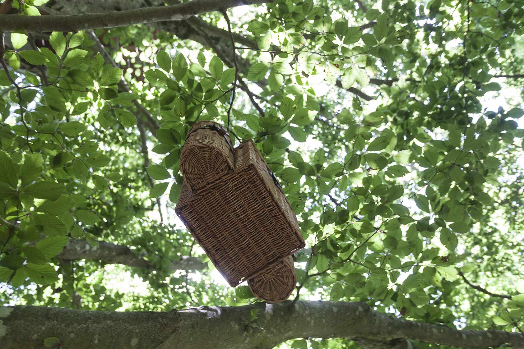 photojp-angei-jp-angei2527 Cabane suspendue en osier, nichée dans les arbres verdoyants dAuvergne-Rhône-Alpes.