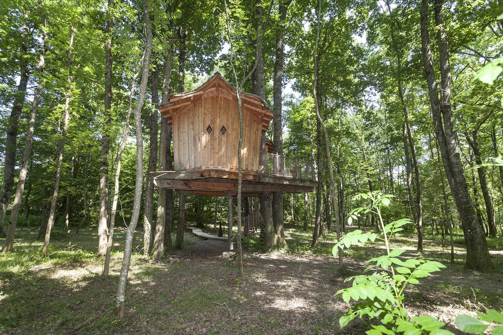 photojp-angei-jp-angei2541 Cabane perchée en bois, entourée darbres verdoyants en Auvergne-Rhône-Alpes.