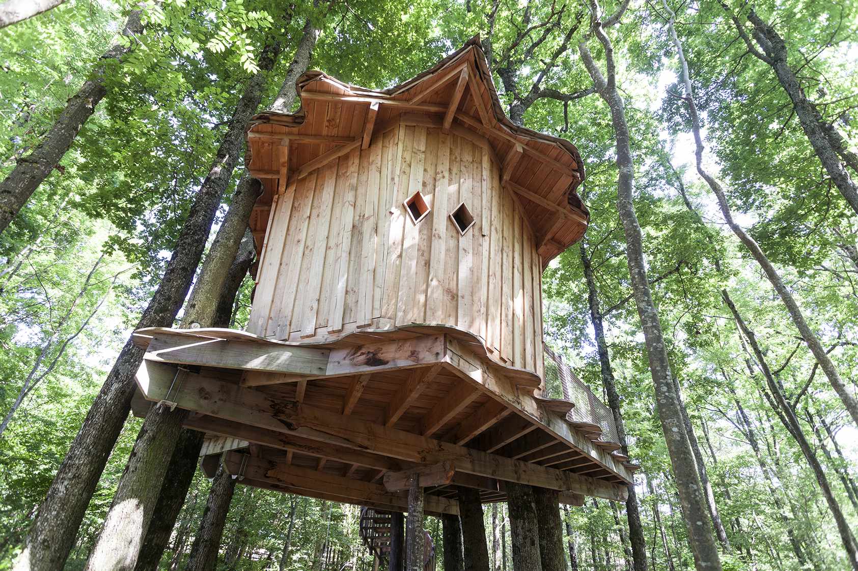 photojp-angei-jp-angei2542 Cabane perchée en bois dans les arbres, entourée de verdure luxuriante.