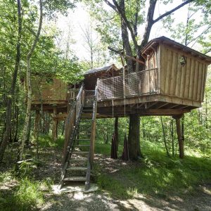 photojp-angei-jp-angei2558