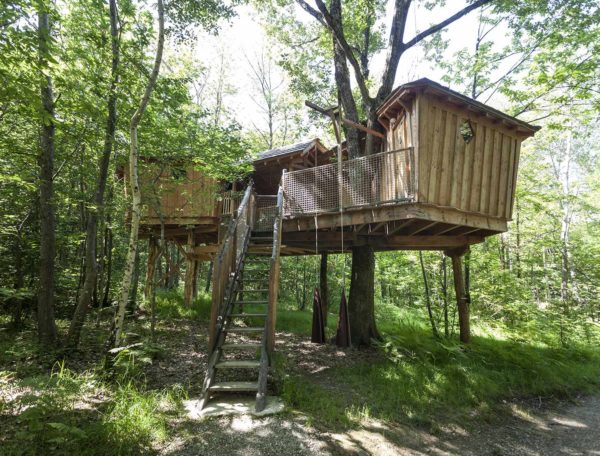 Cabane perchée dans les arbres, entourée de verdure, offrant une vue apaisante.