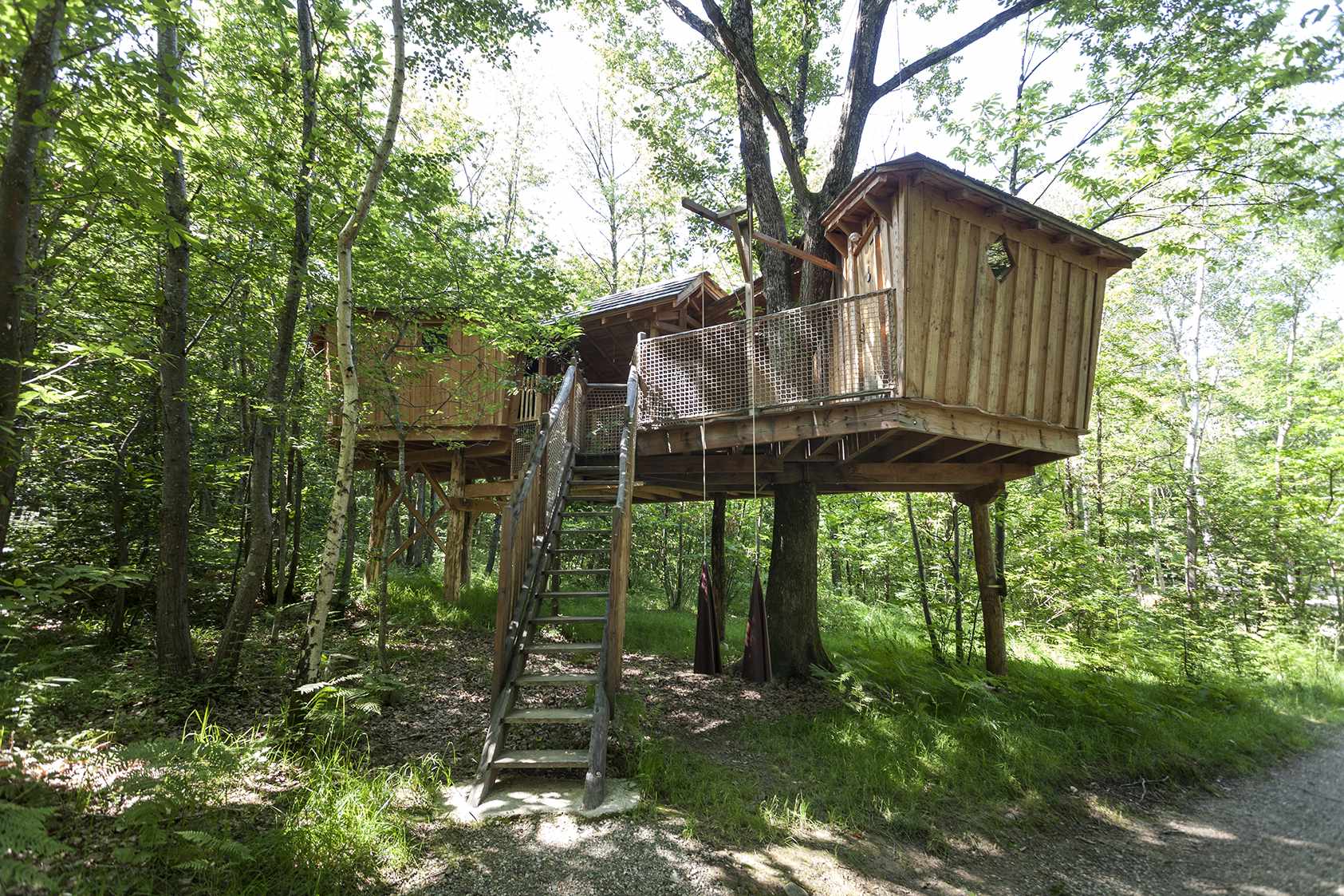 Cabane perchée dans les arbres, entourée de verdure, offrant une vue apaisante.