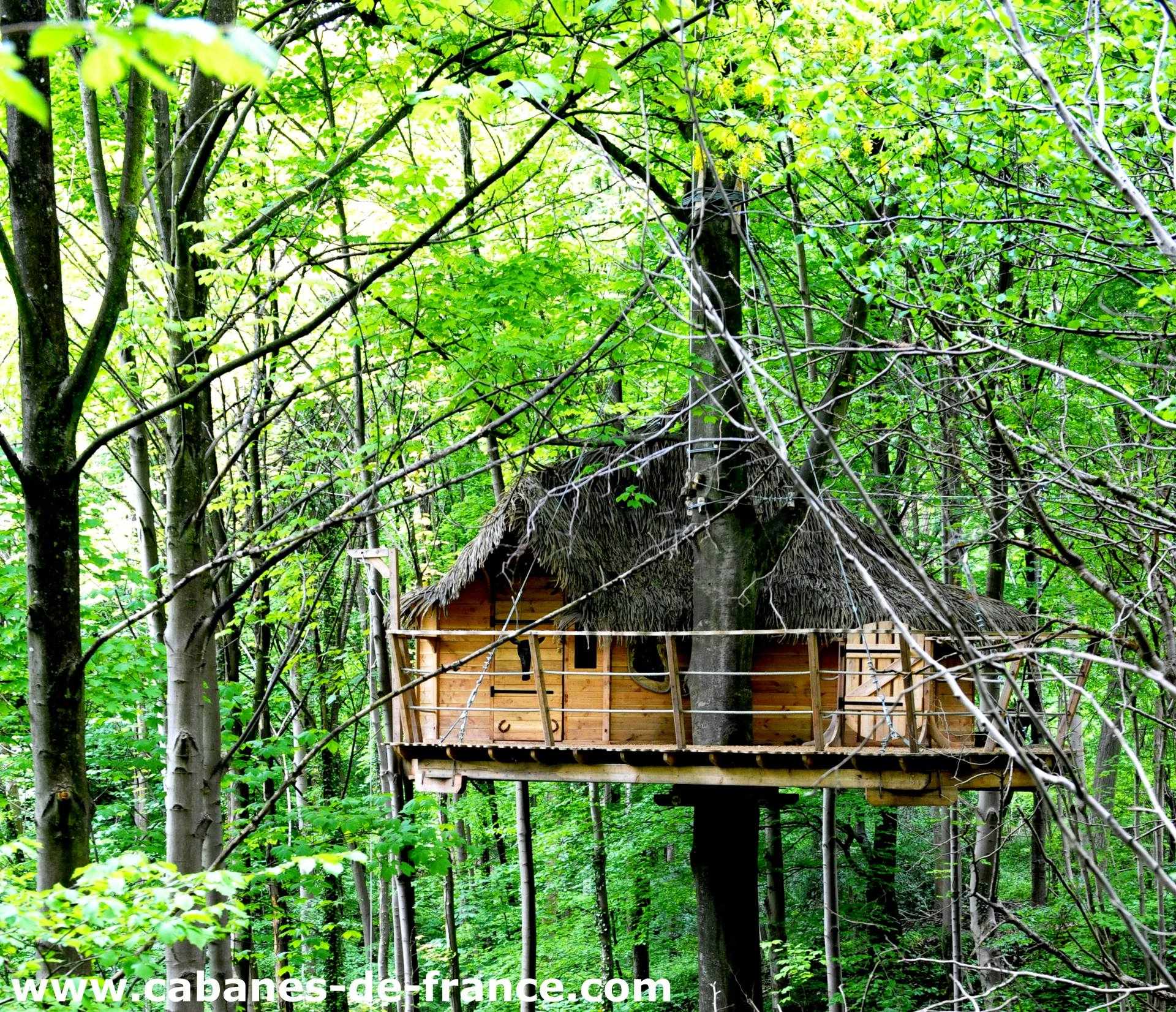 CP nouvelle_cabanes-de-france Cabane perchée dans les arbres, entourée de verdure luxuriante en Haute-Normandie.