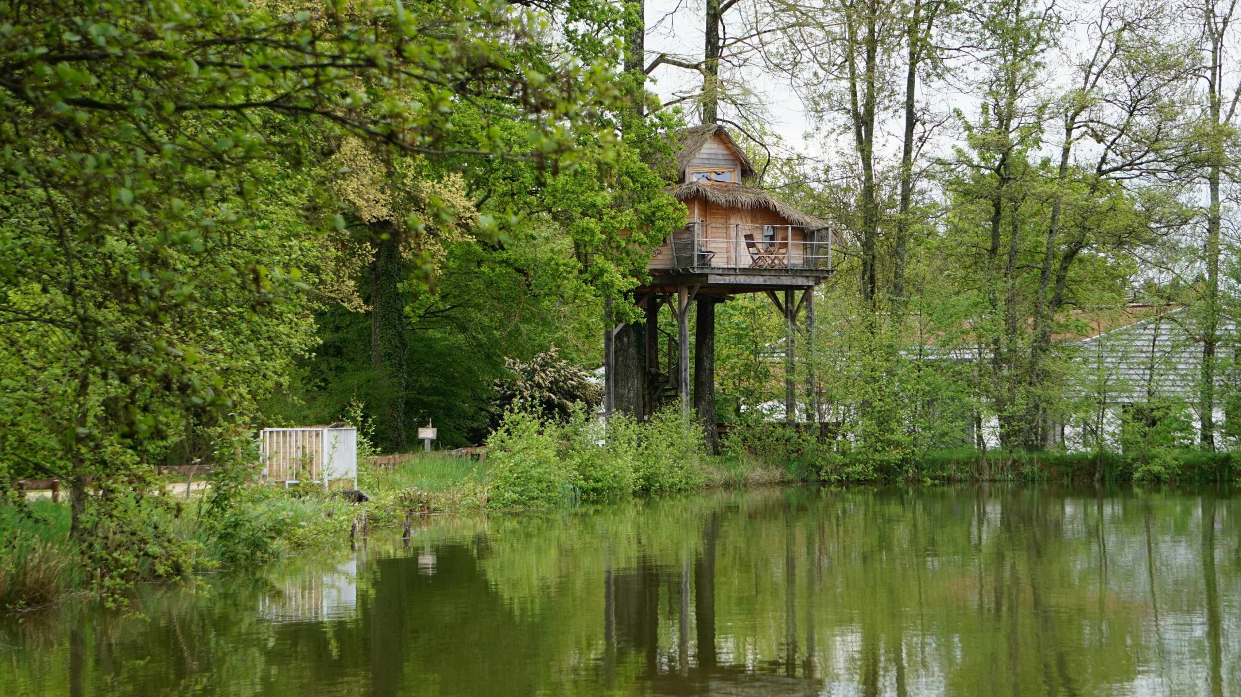DSC00783_resized Cabane perchée au bord dun étang, entourée de verdure luxuriante en Auvergne-Rhône-Alpes.