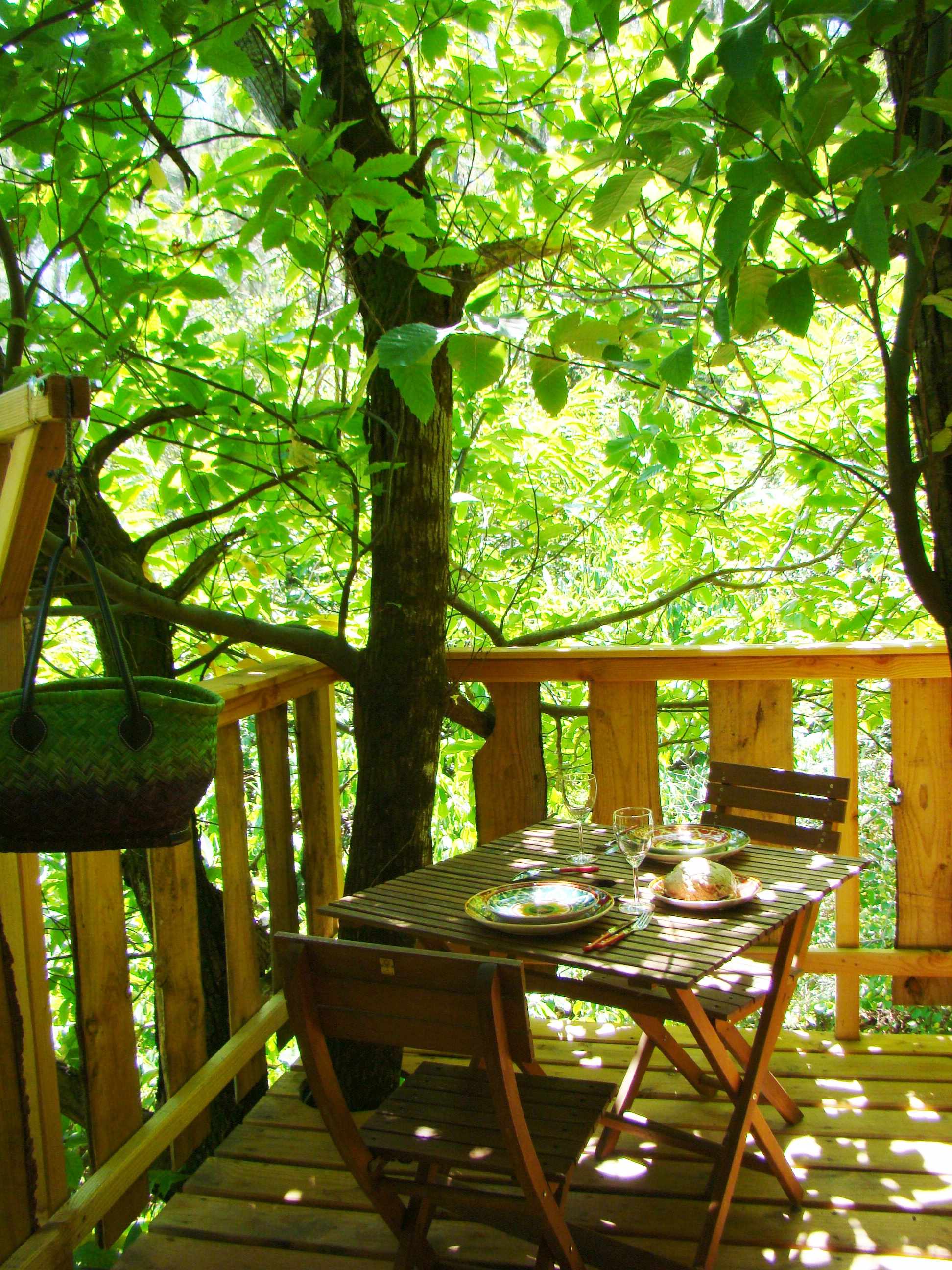 DSC06902 Cabane perchée dans les arbres, table en bois entourée de verdure luxuriante.
