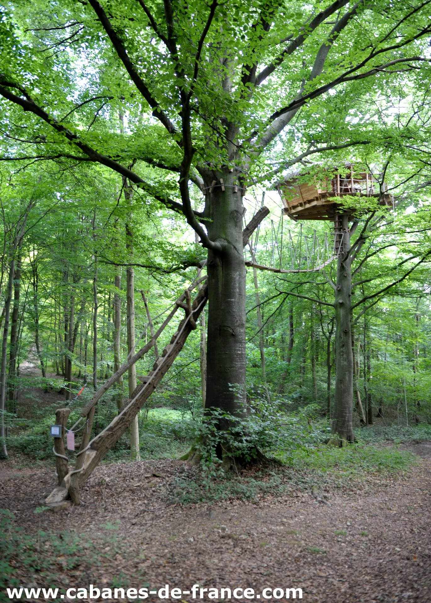 DSC_2827_cabanes-de-france Cabane perchée dans les arbres, entourée de verdure luxuriante en Haute-Normandie.