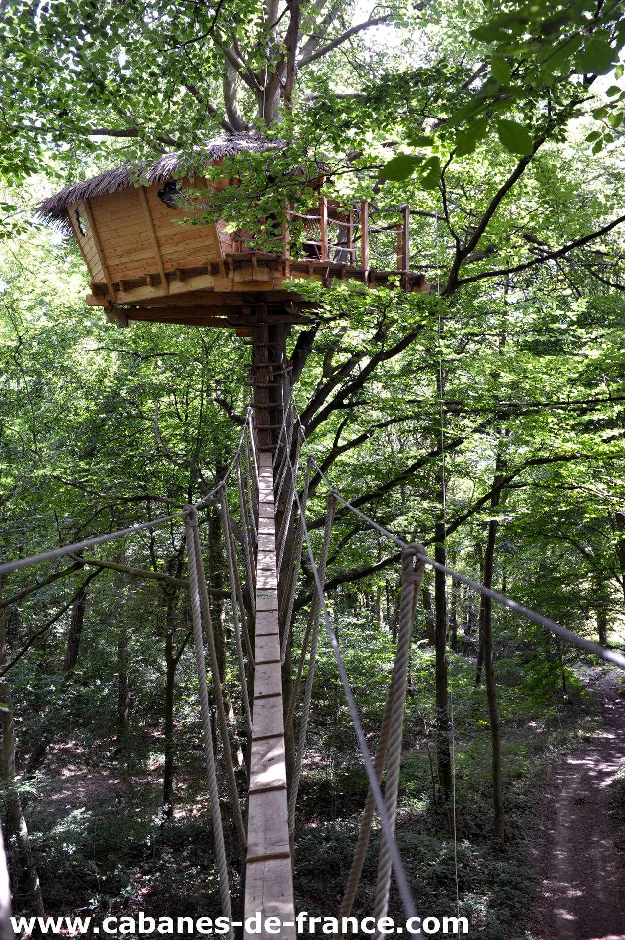 DSC_2834_cabanes-de-france Cabane perchée dans les arbres, accessible par une passerelle en bois, entourée de verdure.