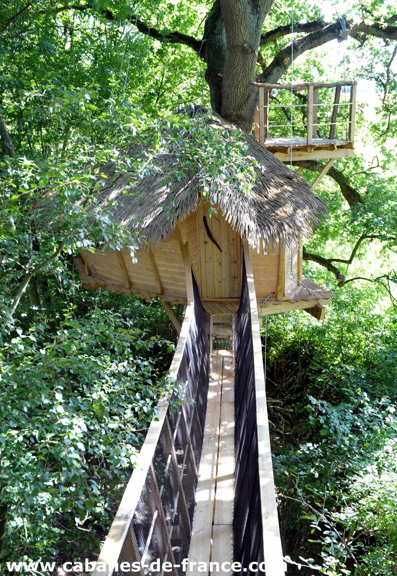 DSC_3009_cabanes-de-france Cabane dans les arbres en Haute-Normandie, avec un toit en chaume et passerelle suspendue.