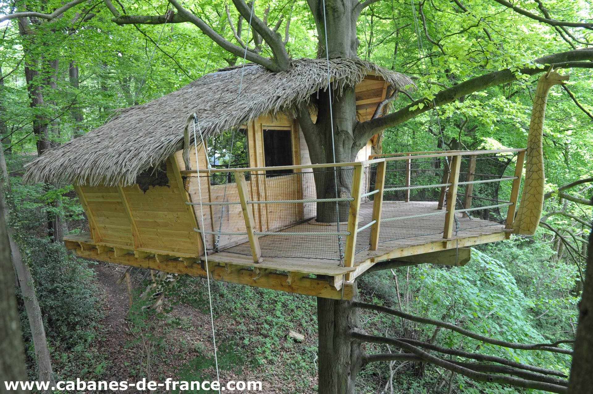 DSC_7318_cabanes-de-france Cabane perchée dans les arbres, toit de chaume, entourée de verdure luxuriante.