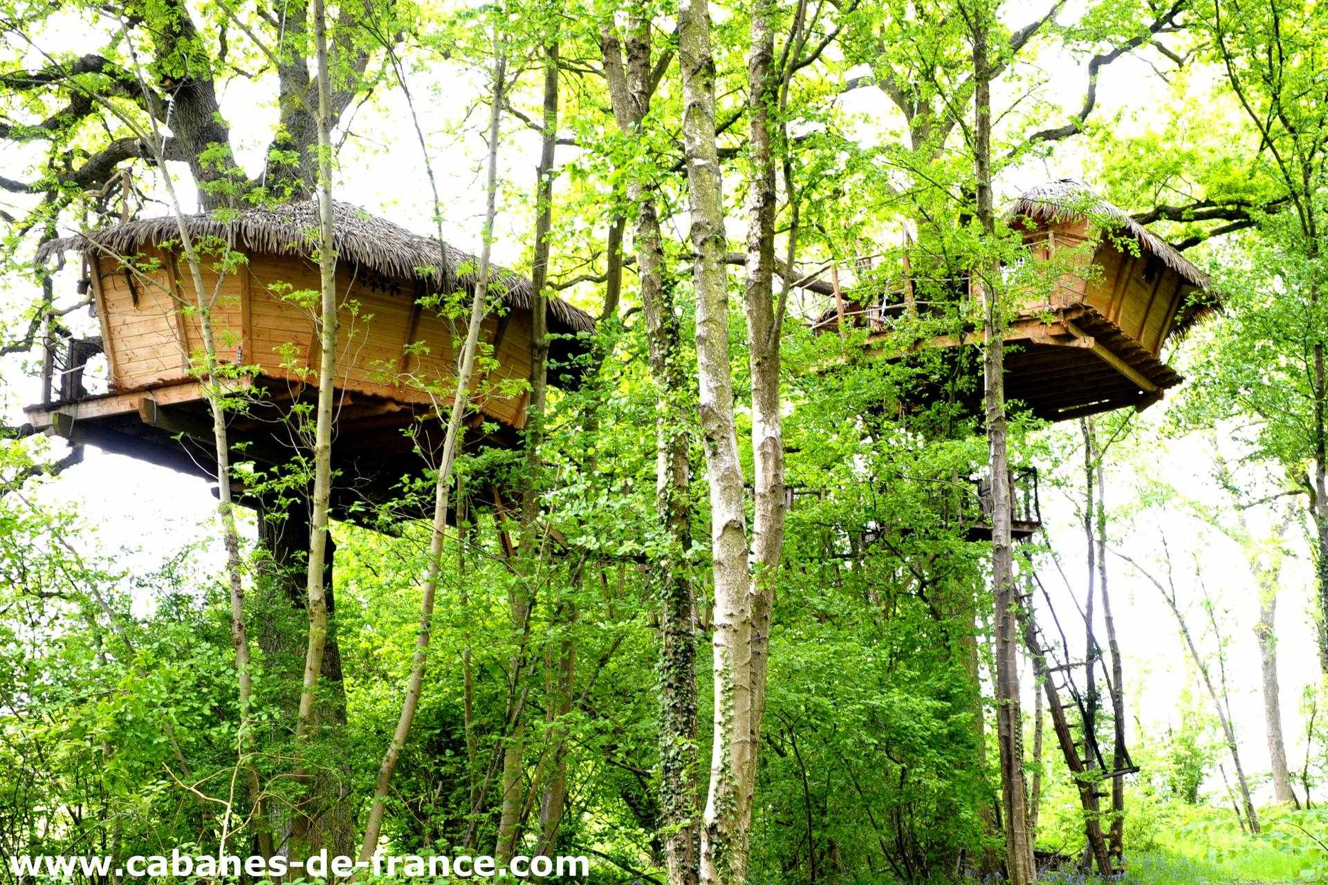 DSC_7463_cabanes-de-france Cabane perchée dans les arbres, entourée de verdure luxuriante en Haute-Normandie.