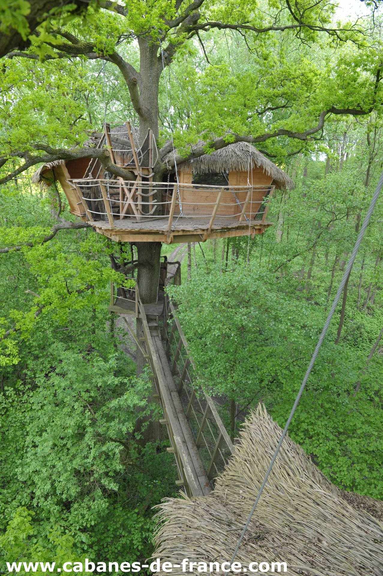 DSC_7473_cabanes-de-france Cabane perchée dans un arbre, entourée de verdure luxuriante en Haute-Normandie.