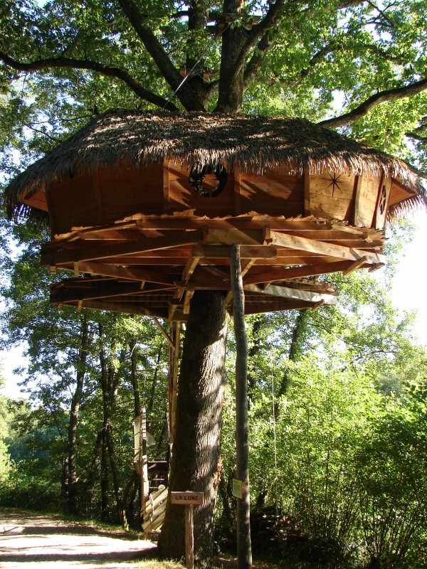 GREPILLAT10 Cabane perchée dans un arbre, avec un toit en chaume, entourée de verdure.