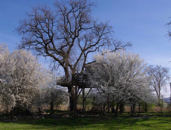 imgp2412bis-redimensionne