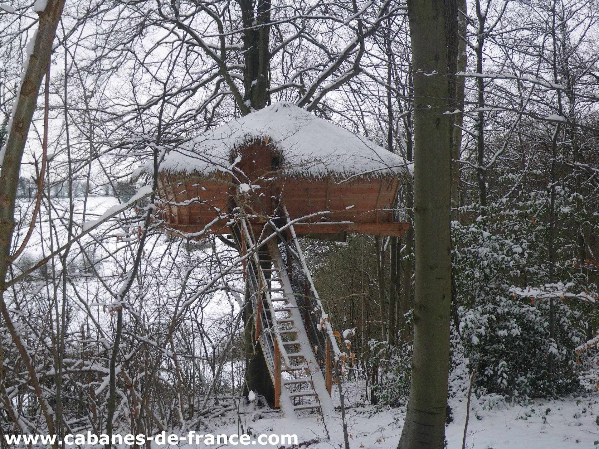 IMGP3307_cabanes-de-france Cabane perchée en bois, entourée de neige et darbres en Haute-Normandie.