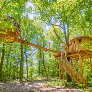 Cabane dans les arbres, perchée entre les feuillages, offrant une vue imprenable sur la forêt.