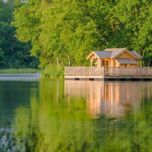 Chalet en bois au bord dun lac, entouré de verdure et de calme.