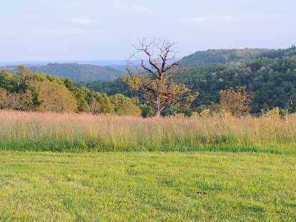 paysagelow Hébergement insolite en pleine nature, avec vue sur les collines verdoyantes du Limousin.