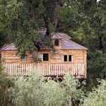 Cabane dans les arbres en bois, perchée au milieu dune verdure luxuriante.