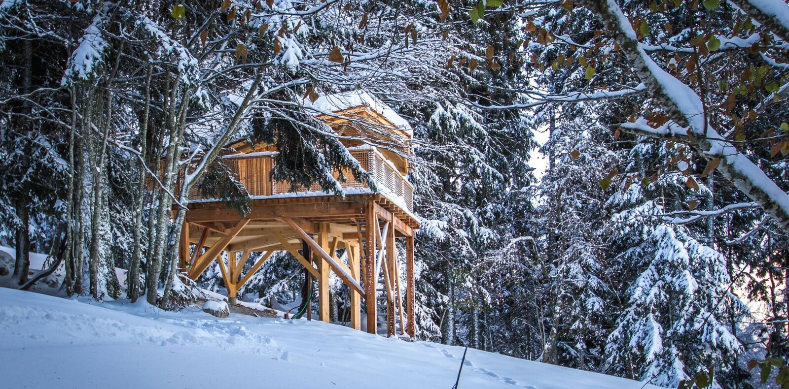 Cabane perchée en bois, entourée de neige et darbres majestueux en Rhône-Alpes.