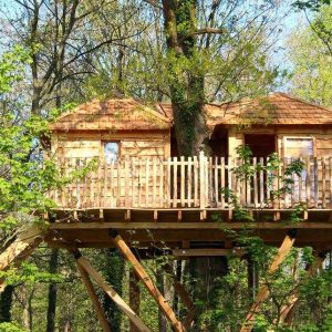 Cabane dans les arbres en bois, perchée au milieu dune forêt verdoyante.