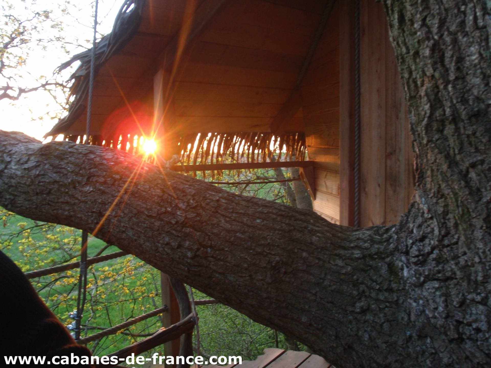 68_cabanes-de-france Cabane dans les arbres en Haute-Normandie, avec un coucher de soleil lumineux.
