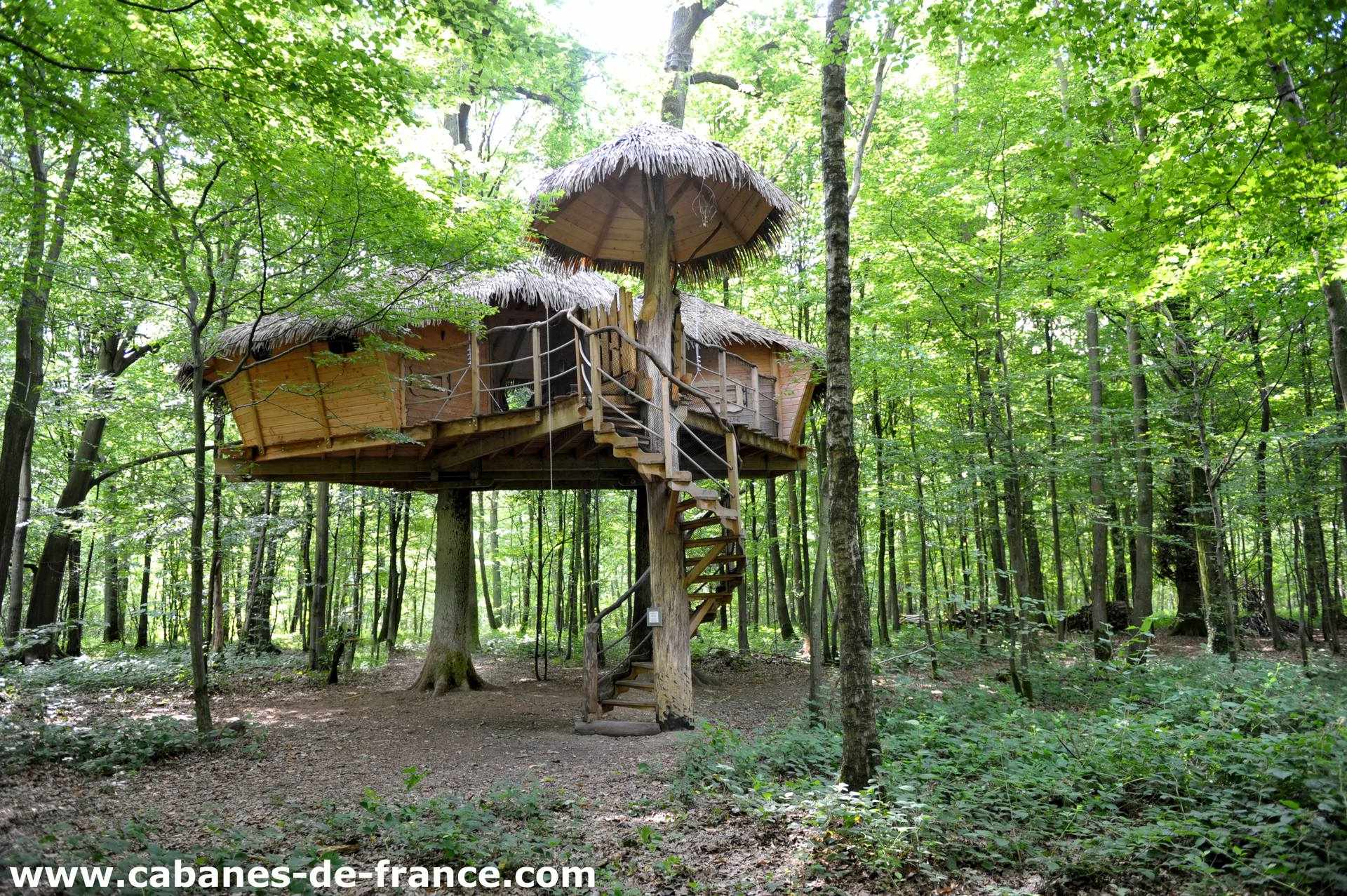 DSC_2547_cabanes-de-france Cabane dans les arbres en Haute-Normandie, perchée au milieu dune forêt verdoyante.