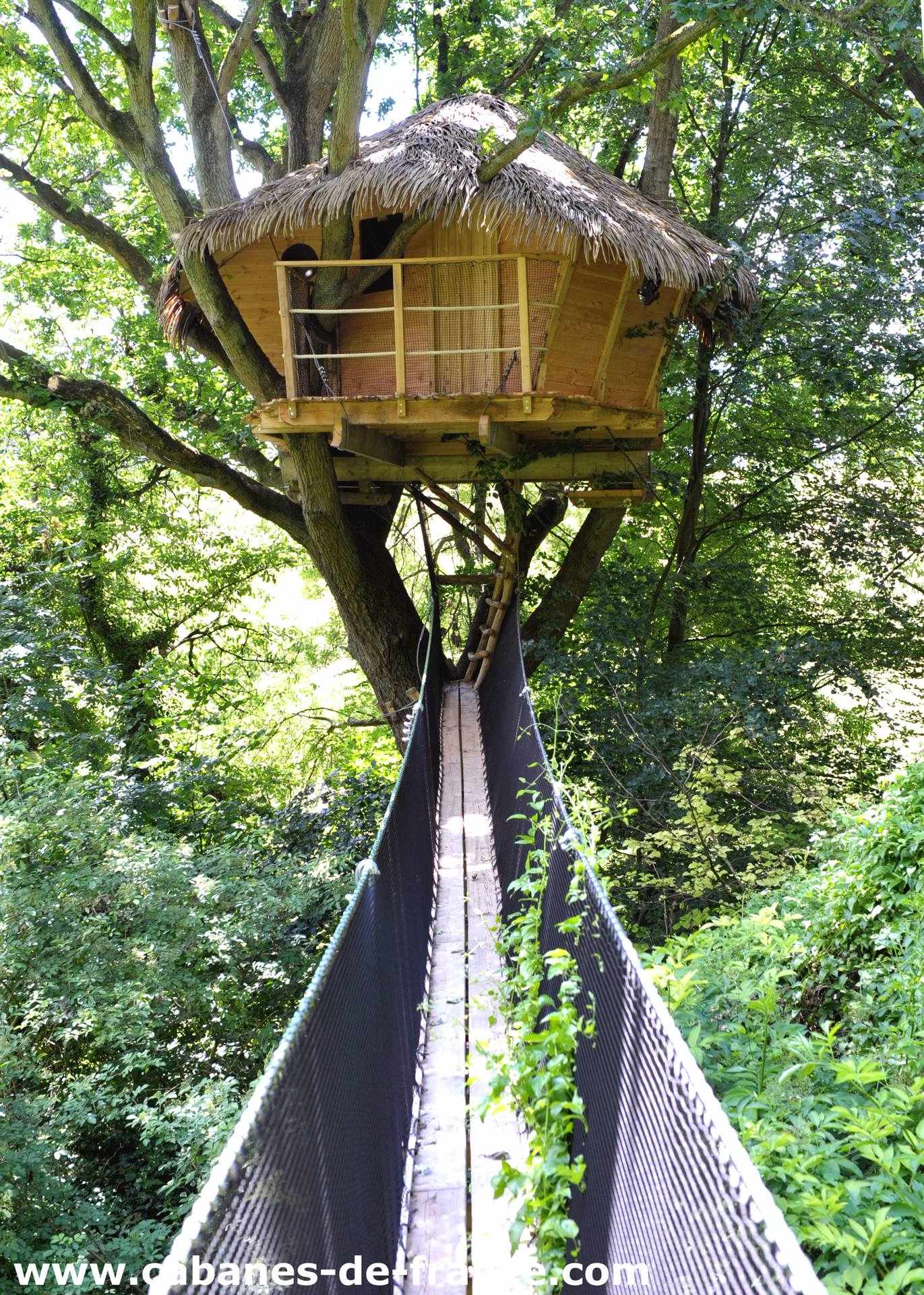 DSC_2794_cabanes-de-france Cabane perchée dans un arbre, accessible par un pont suspendu verdoyant.