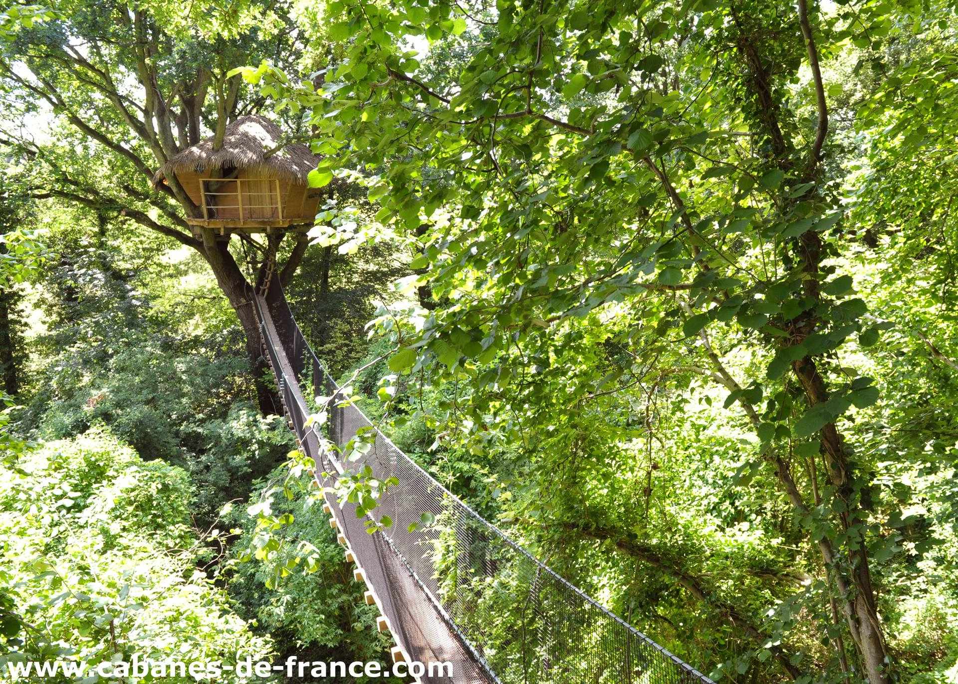 DSC_2804_cabanes-de-france Cabane perchée dans un arbre, accessible par une passerelle, entourée de verdure.
