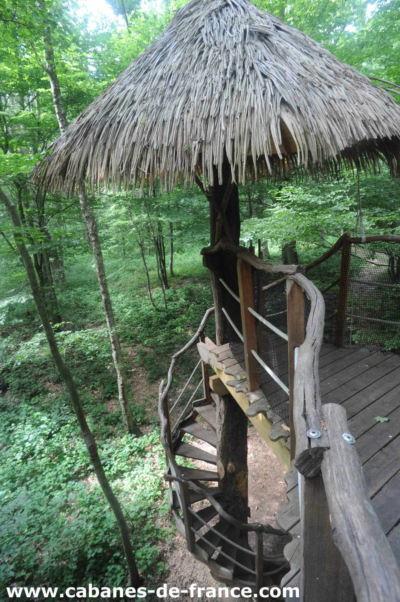 DSC_6276_cabanes-de-france Cabane perchée en bois avec toit en chaume, entourée darbres verdoyants.