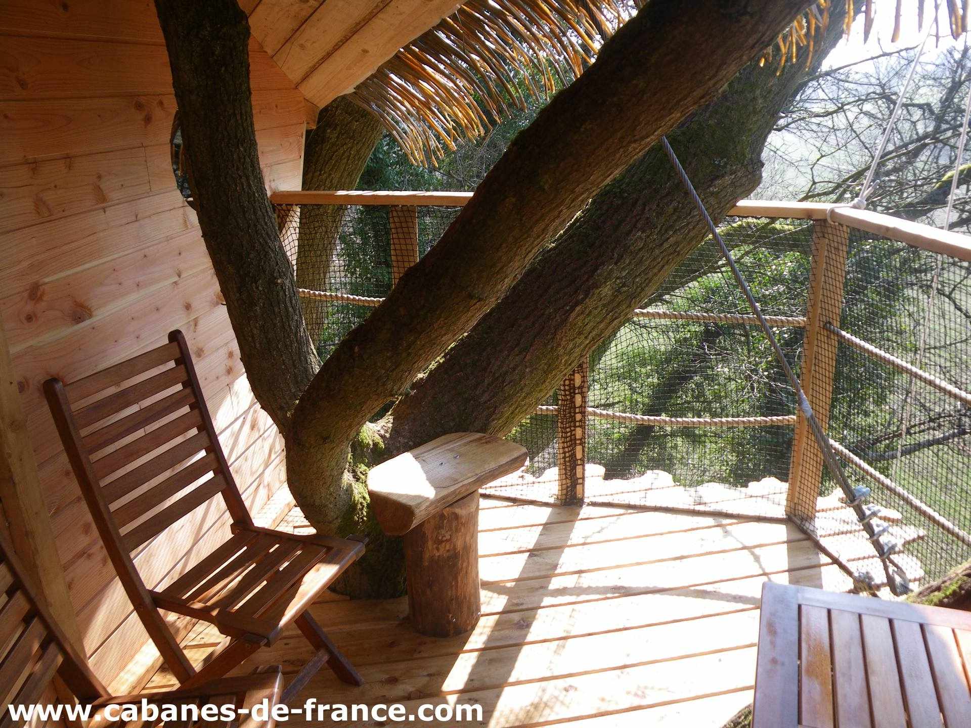 IMGP1653_cabanes-de-france Cabane perchée en bois avec un arbre traversant, offrant une vue apaisante.