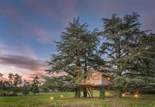 Cabane perchée au milieu des arbres, illuminée au crépuscule en Auvergne-Rhône-Alpes.