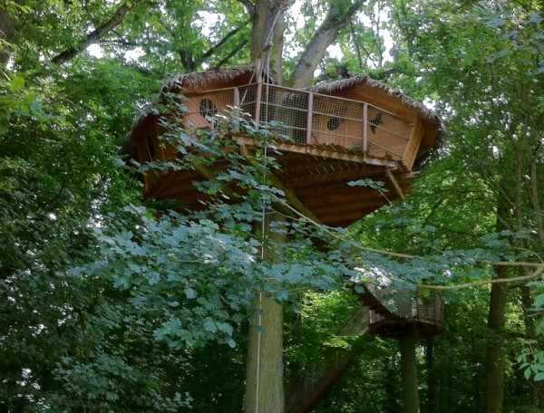 Cabane perchée dans les arbres, entourée de verdure luxuriante en Île-de-France.