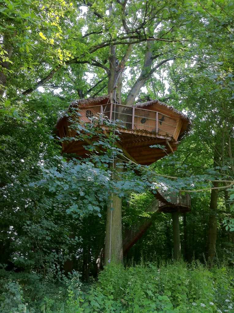 Cabane perchée dans les arbres, entourée de verdure luxuriante en Île-de-France.