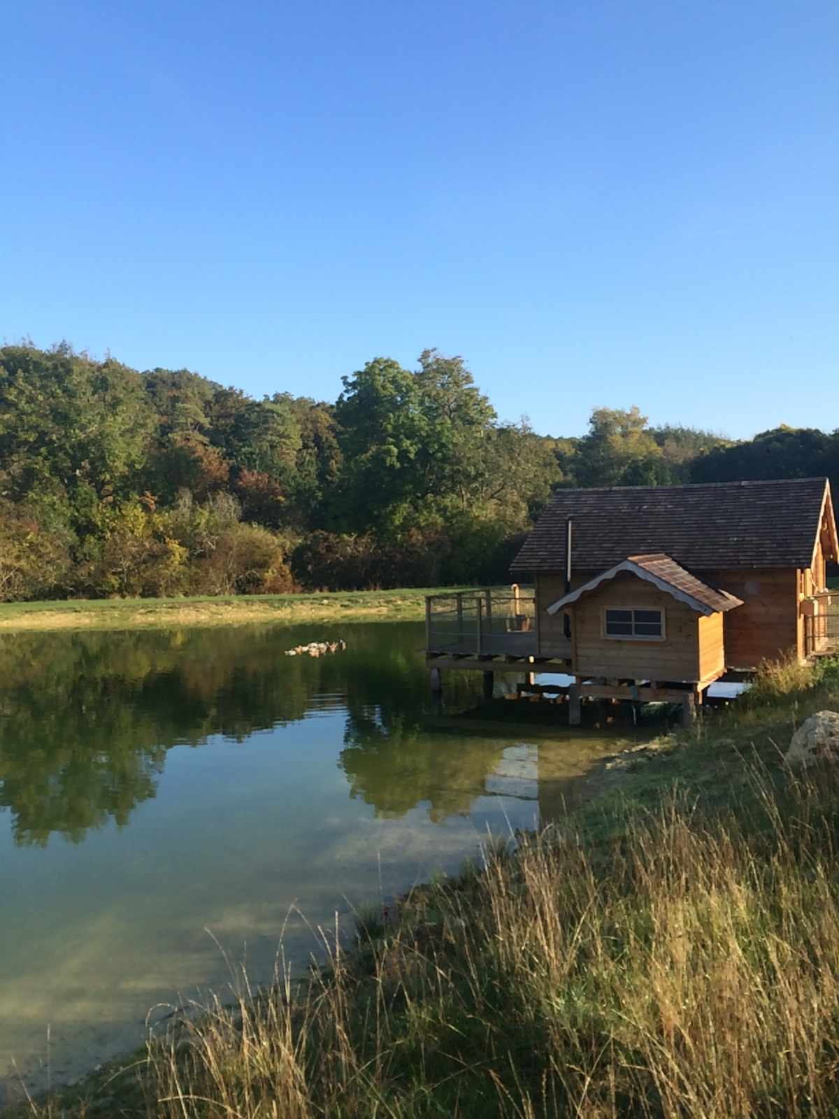 Cabane en bois au bord dun lac, entourée de verdure en Île-de-France.
