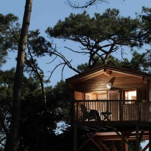 399021_410184942344703_396810895_n