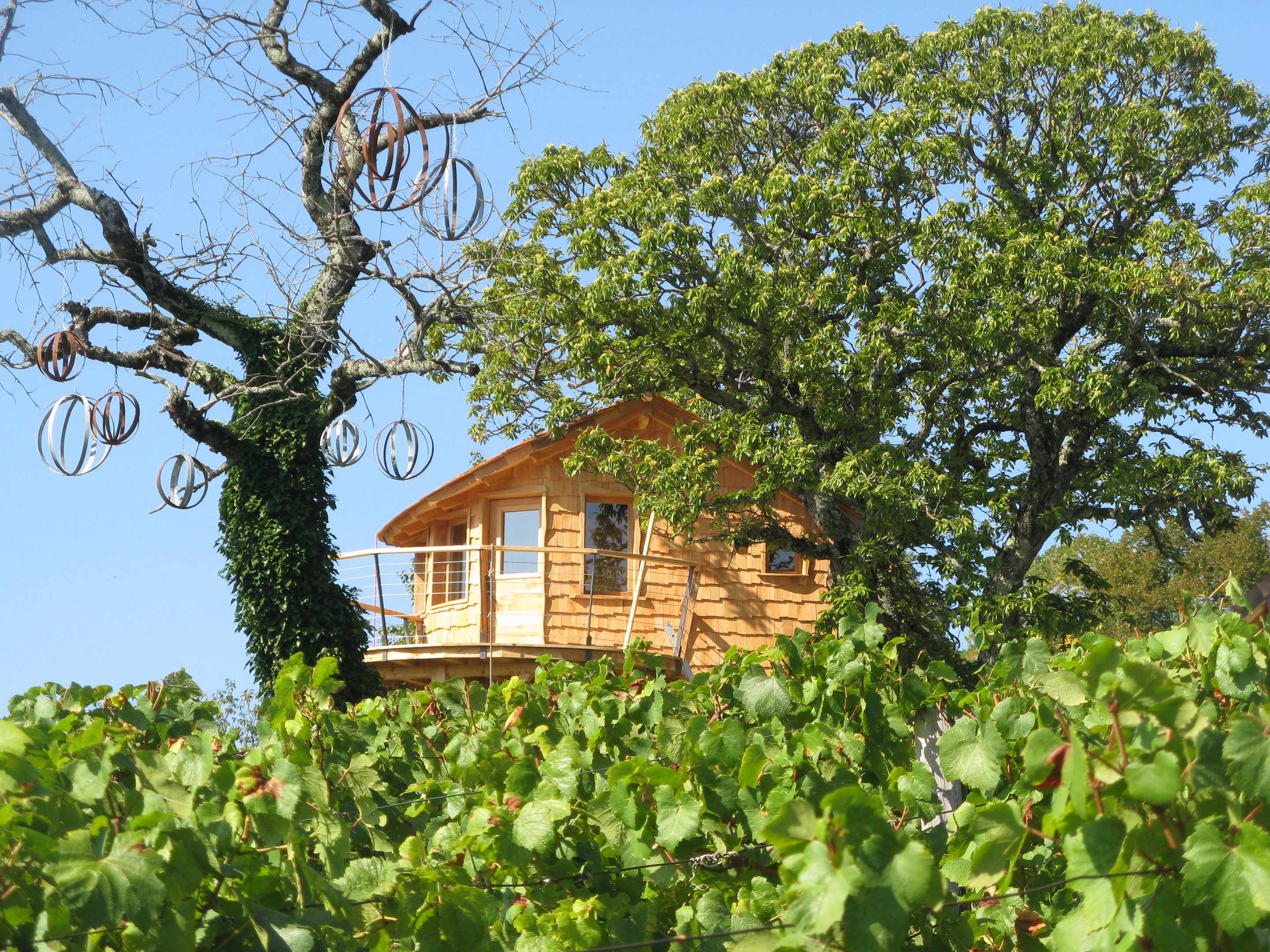 IMG_0056 Cabane perchée en bois, entourée de vignes et darbres majestueux en Bourgogne.