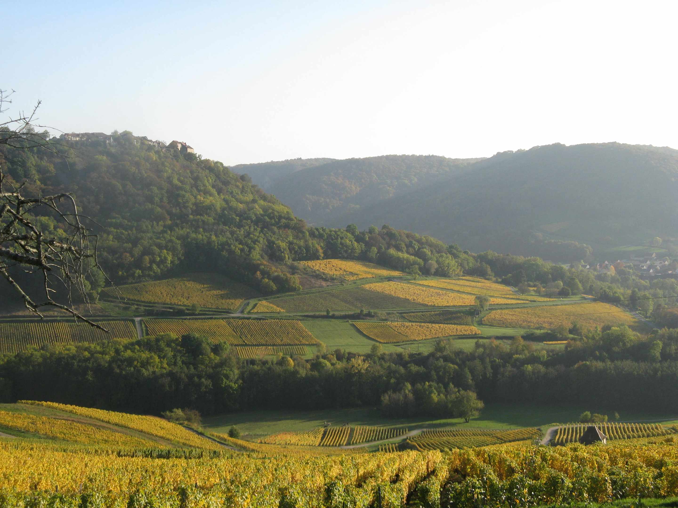 IMG_0240 Hébergement insolite en pleine nature, avec vue sur les vignes et collines verdoyantes.