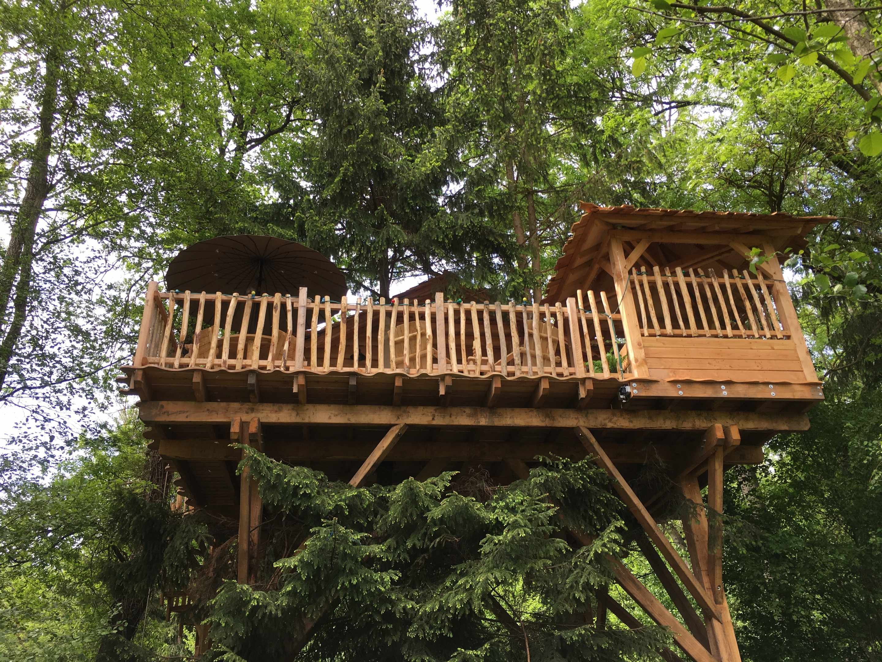 IMG_1198 Cabane perchée dans les arbres, avec terrasse et parasol, entourée de verdure.