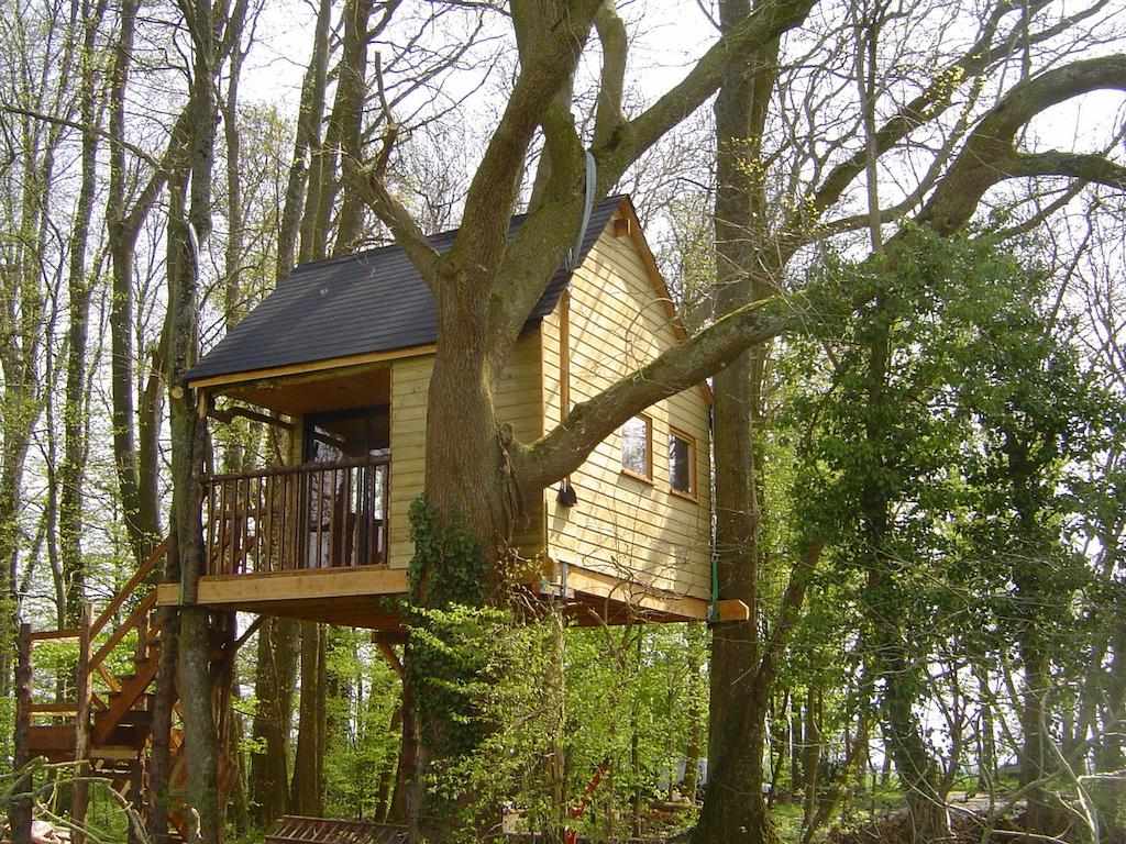 25229514 Cabane perchée dans les arbres, entourée de verdure luxuriante à Champagne-Ardennes.