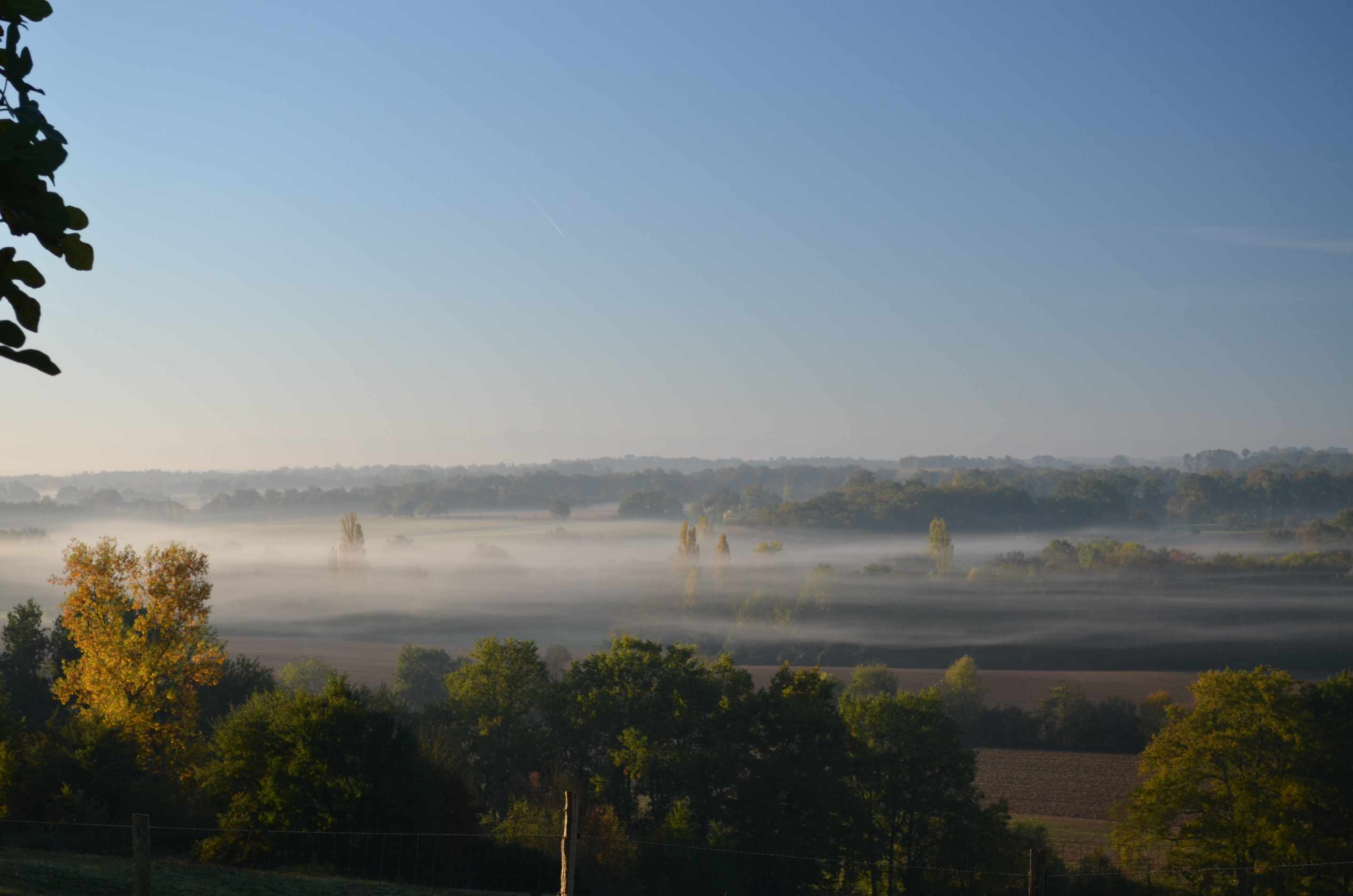 Cabanes dans les arbres- Au Bois d'Emma et Loue