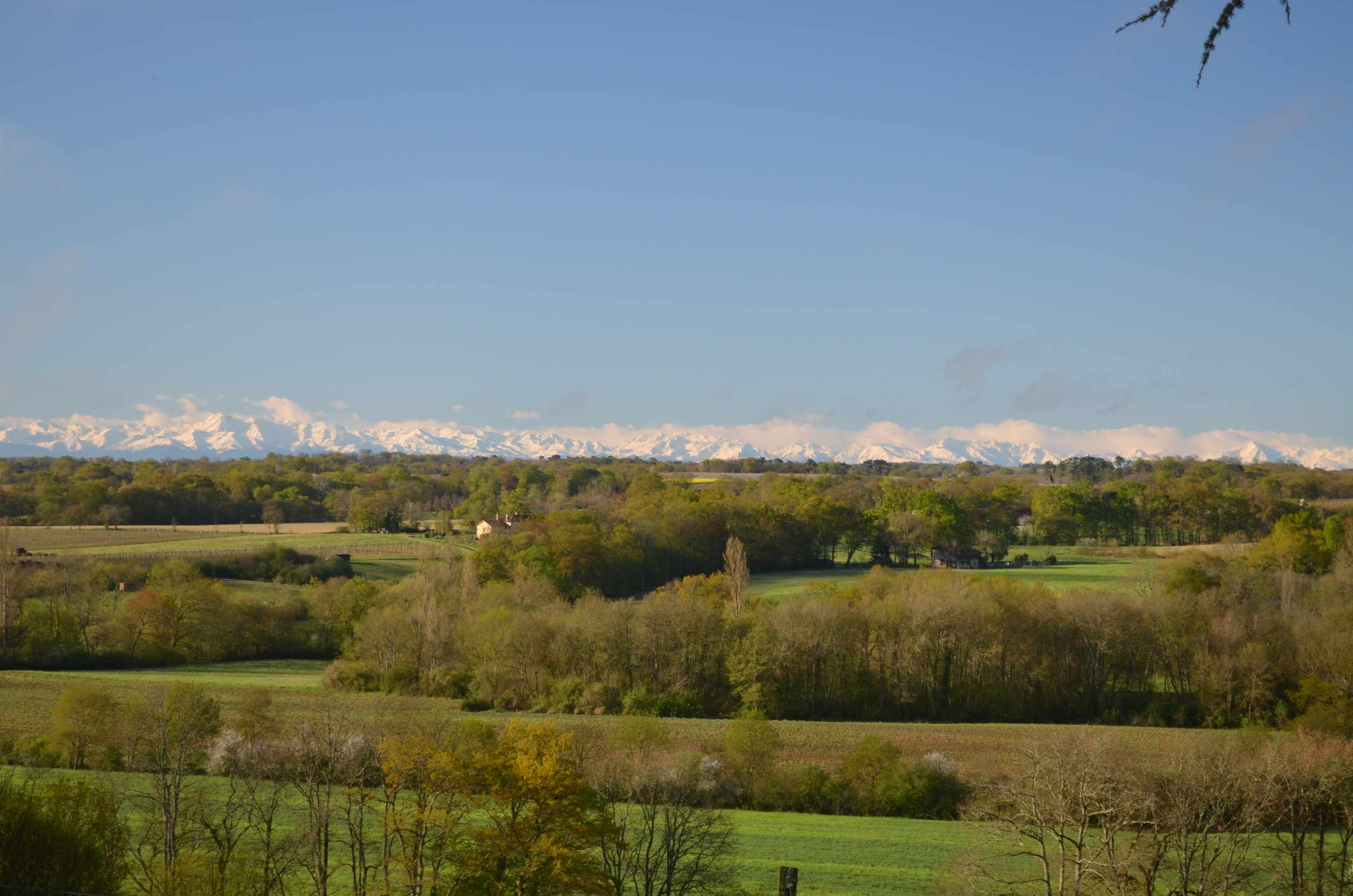 Cabanes dans les arbres- Au Bois d'Emma et Loue