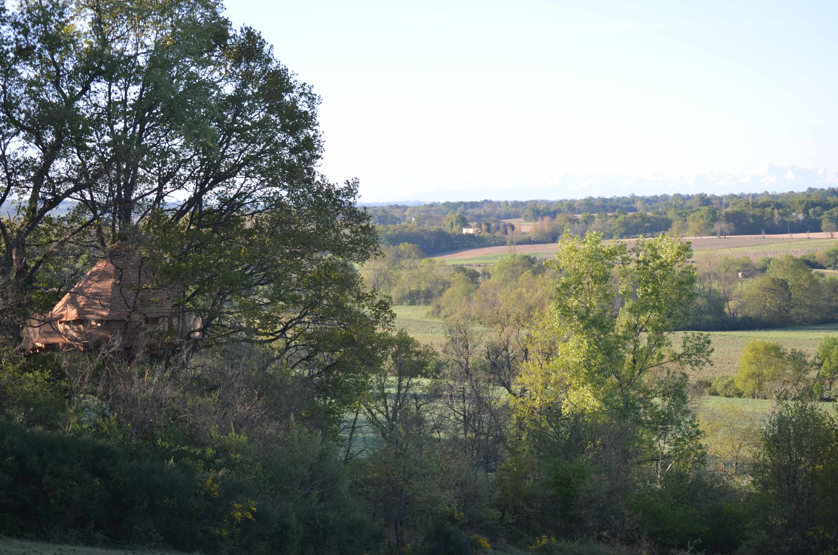 Cabanes dans les arbres- Au Bois d'Emma et Loue