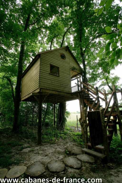 Sans titre 2 Cabane perchée dans les arbres, entourée de verdure, avec un accès par un escalier en bois.