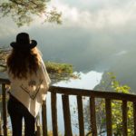 Hêtre sous le charme