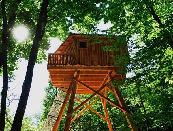Cabane perchée en bois, entourée darbres verdoyants sous un soleil éclatant.