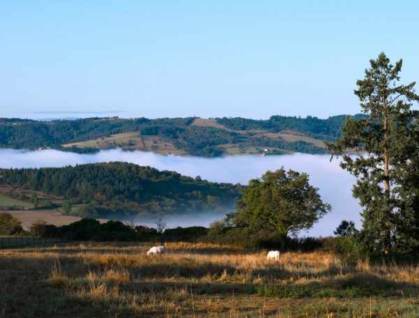 Hébergement insolite en Auvergne-Rhône-Alpes, avec vue sur des collines brumeuses.