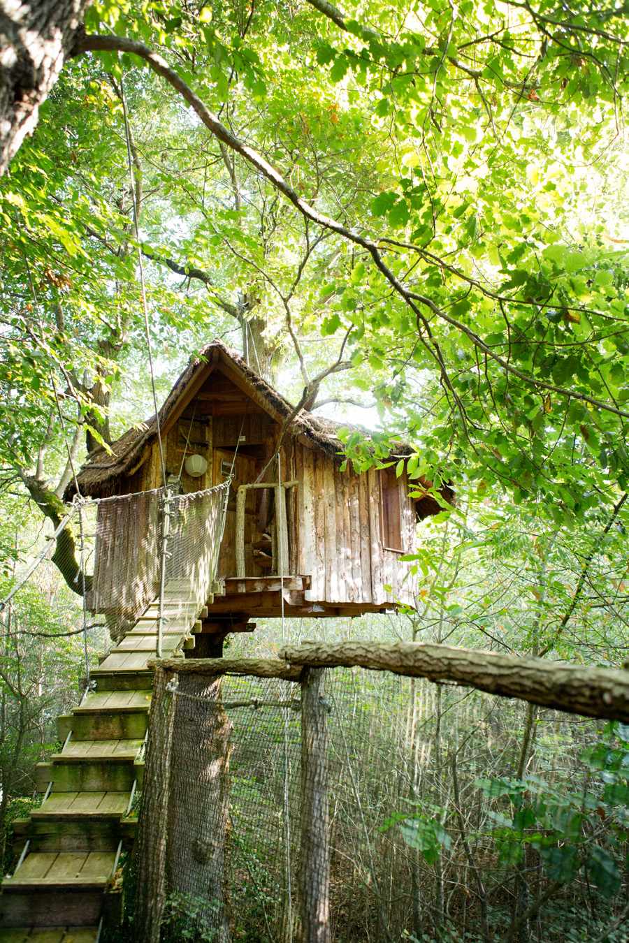 Cabane_Marcheroy01 Cabane perchée dans les arbres, entourée de verdure luxuriante en Nouvelle-Aquitaine.