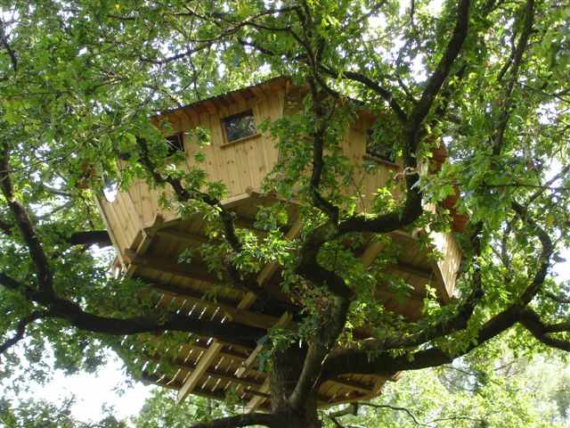 Cabanes 2006 013 (28) Cabane perchée dans un arbre en Bretagne, entourée de feuillage verdoyant.