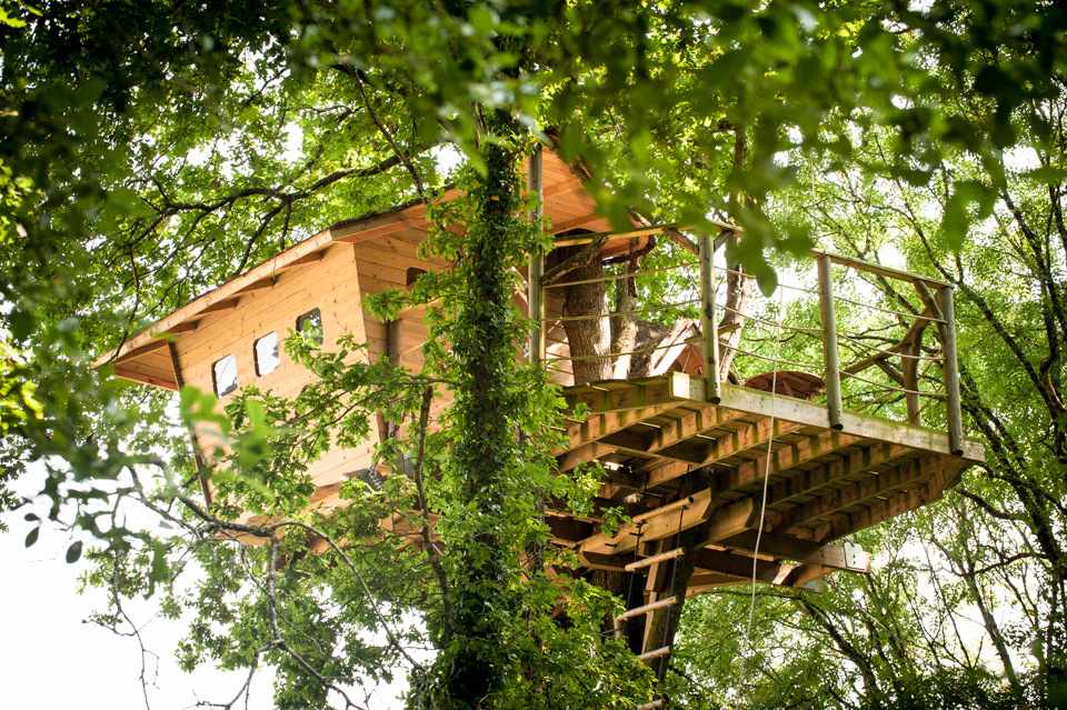 _DSC0854 Cabane perchée dans les arbres en Bretagne, entourée de verdure luxuriante.