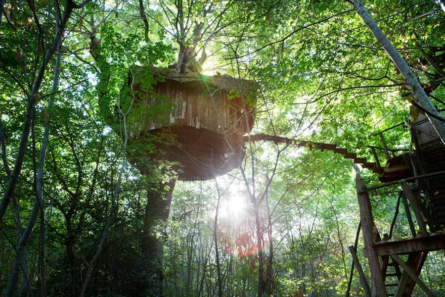 cabane_marcheroy04 Cabane perchée dans les arbres, entourée de verdure et baignée de lumière.